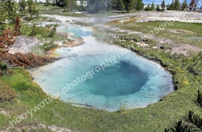 Bluebell Pool
Yellowstone National Park