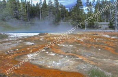 Bacteria Mat 
Yellowstone National Park