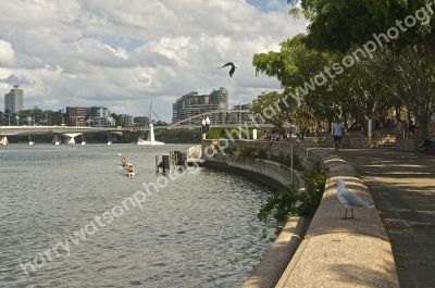 Brisbane
Queensland