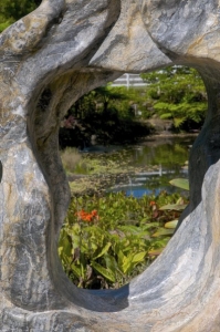 botanical Gardens 
Nr Brisbane
Queensland