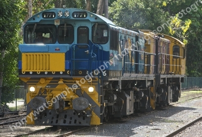 DSC2258