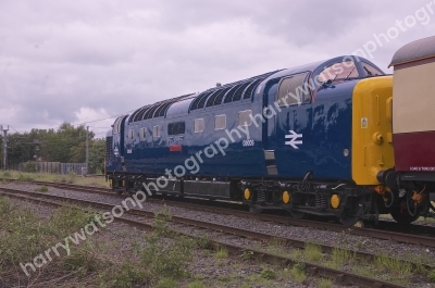 DSC3424