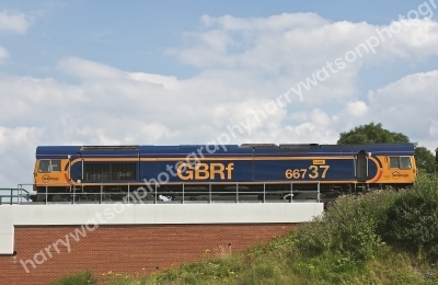 DSC5861