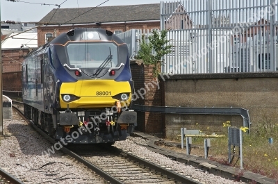 DSC5885