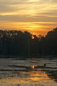 Murrumba Downs
Queensland Australia