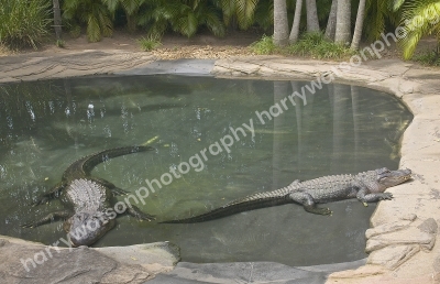 Australia Zoo 
Queensland