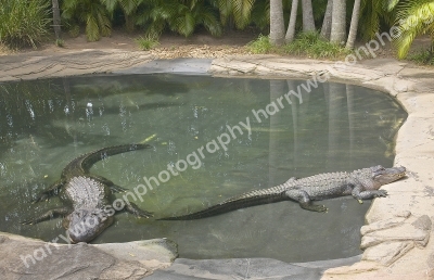 Australia Zoo 
Queensland