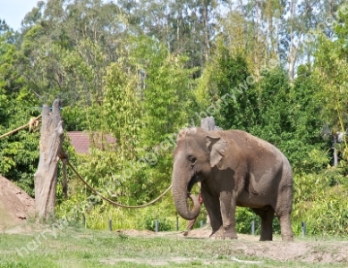 Australia Zoo 
Queensland