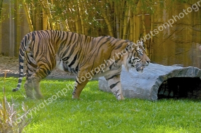 Australia Zoo 
Queensland