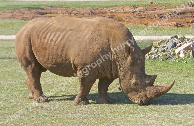 Australia Zoo 
Queensland