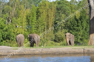 Australia Zoo 
Queensland