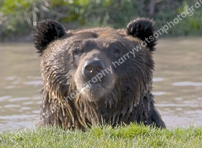 Doncaster Wildlife Park