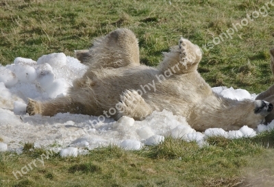 Doncaster Wildlife Park