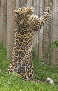 Doncaster Wildlife Park