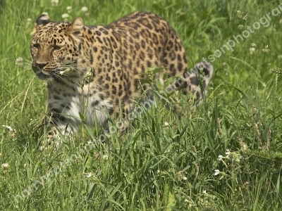 Doncaster Wildlife Park