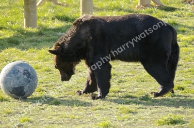 Doncaster Wildlife Park