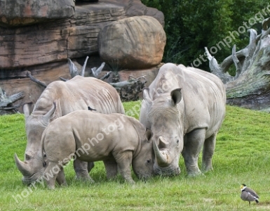 Australia Zoo 
Queensland