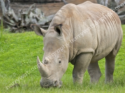 Australia Zoo 
Queensland