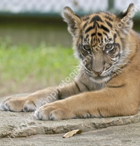 Australia Zoo 
Queensland