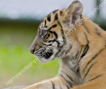 Australia Zoo 
Queensland