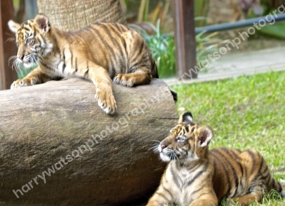 Australia Zoo 
Queensland