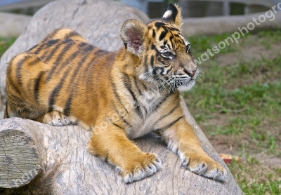 Australia Zoo 
Queensland