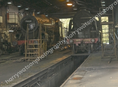 DSC1438