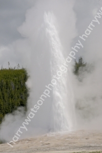 Old Faithful
Yellowstone National Park