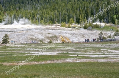 Old Faithful Area
Yellowstone National park