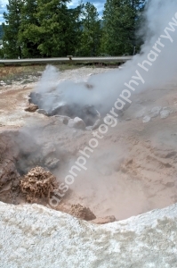 Fountain Paint Pots
Yellowstone Park