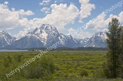 Mount Moran
Yellow Stone