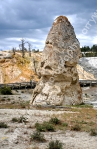 Liberty Cap
Mammoth Hot Springs
Yellowstone National Park