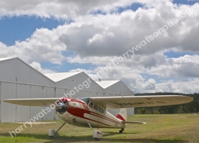 DSC4199