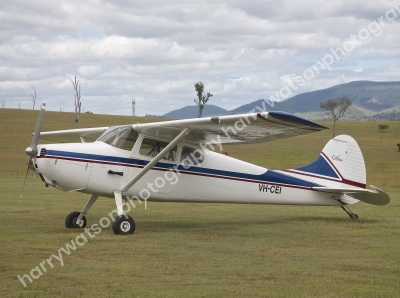DSC4229