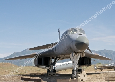 DSC5731