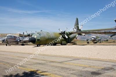 DSC5739