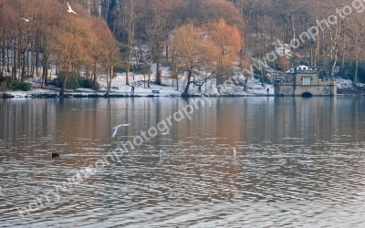 New Miller Dam
Nr Wakefield