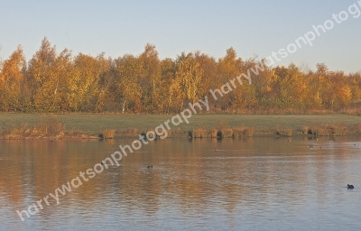 Anglers Country Park Ryhill
Nr Wakefield