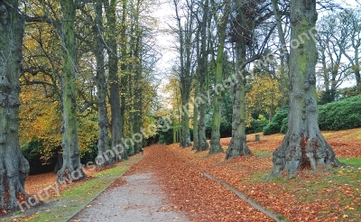 Cannon Hall 
Cawthorne