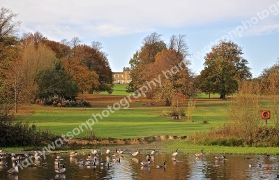 Cannon Hall
Cawthorne