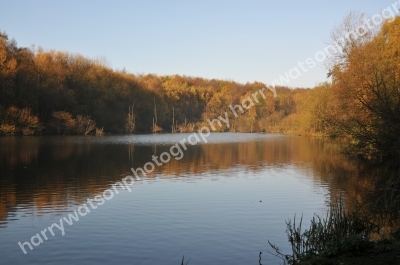 New Miller Dam
Nr Wakefield