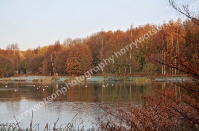 New Miller Dam
Nr Wakefield