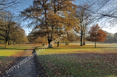 Yorkshire Sculpture Park