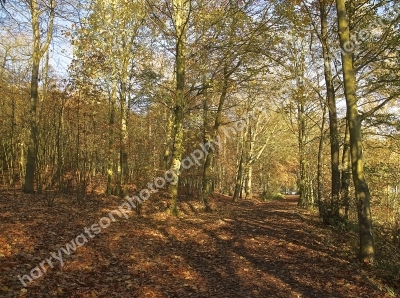 New Miller Dam
Nr Wakefield