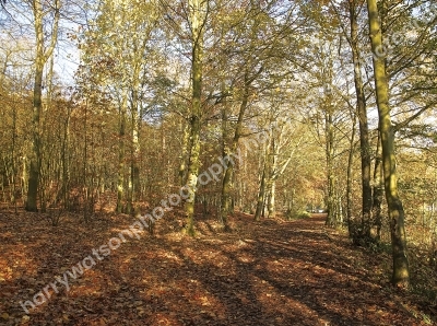 New Miller Dam
Nr Wakefield