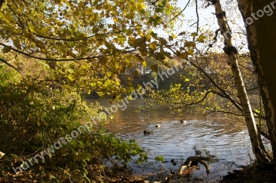 New Miller Dam
Nr Wakefield