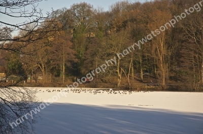 Newmiller Dam 
 Nr Wakefield