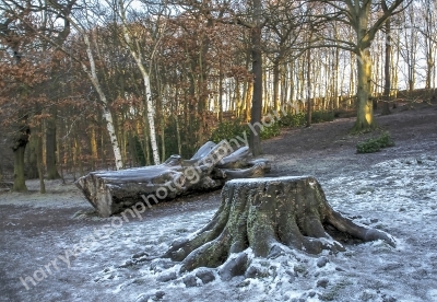 New Miller Dam
Nr Wakefield