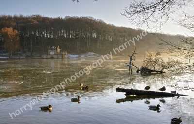 Newmiller Dam 
 Nr Wakefield