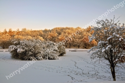 Dearne Valley
South Yorkshire